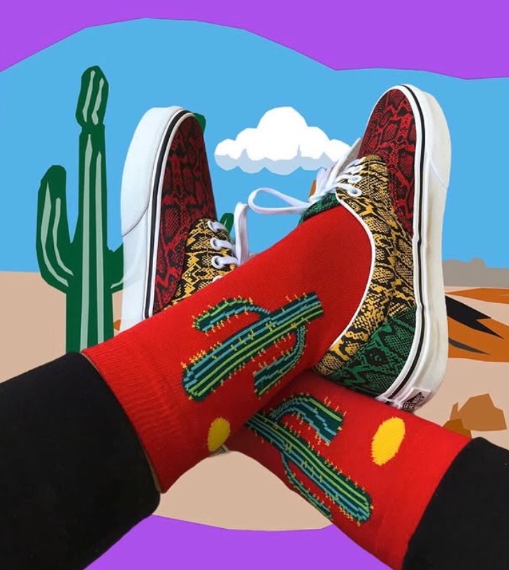 KIRMIZI KAKTÜS DESEN 